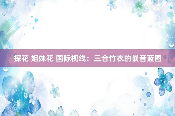 探花 姐妹花 国际视线：三合竹衣的曩昔蓝图