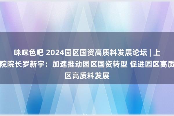 咪咪色吧 2024园区国资高质料发展论坛 | 上海国资院院长罗新宇：加速推动园区国资转型 促进园区高质料发展