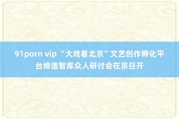 91porn vip “大戏看北京”文艺创作孵化平台缔造智库众人研讨会在京召开