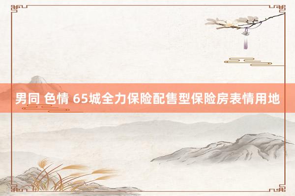 男同 色情 65城全力保险配售型保险房表情用地