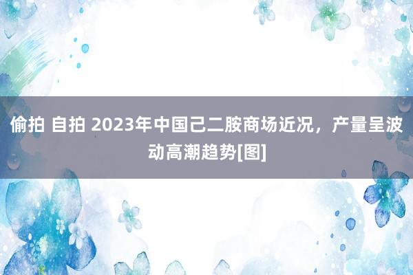 偷拍 自拍 2023年中国己二胺商场近况，产量呈波动高潮趋势[图]