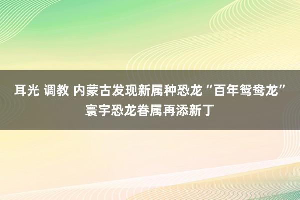 耳光 调教 内蒙古发现新属种恐龙“百年鸳鸯龙”寰宇恐龙眷属再添新丁