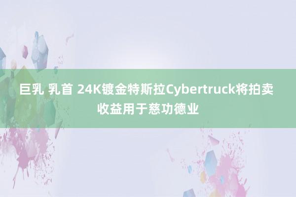 巨乳 乳首 24K镀金特斯拉Cybertruck将拍卖 收益用于慈功德业