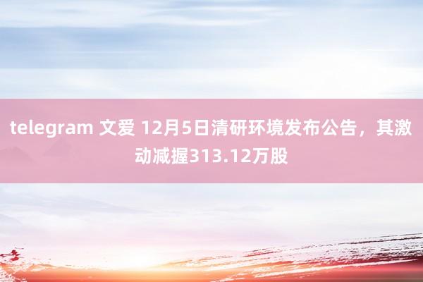telegram 文爱 12月5日清研环境发布公告,其激动减握313.12万股