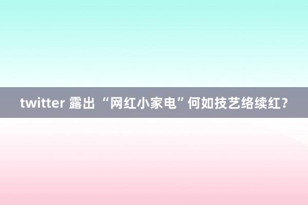 twitter 露出 “网红小家电”何如技艺络续红？