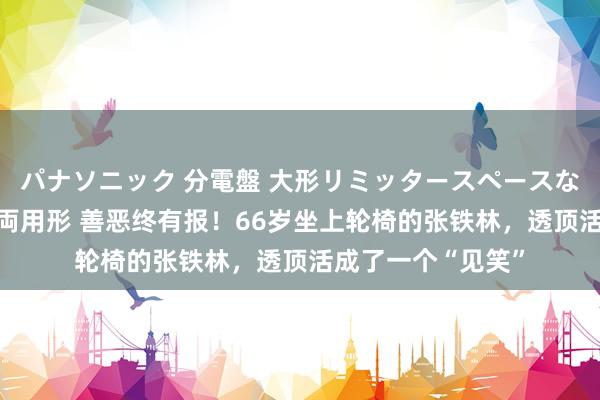 パナソニック 分電盤 大形リミッタースペースなし 露出・半埋込両用形 善恶终有报！66岁坐上轮椅的张铁林，透顶活成了一个“见笑”