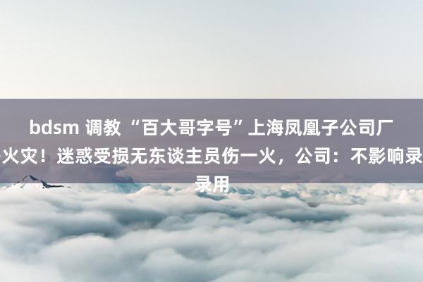 bdsm 调教 “百大哥字号”上海凤凰子公司厂房火灾！迷惑受损无东谈主员伤一火，公司：不影响录用