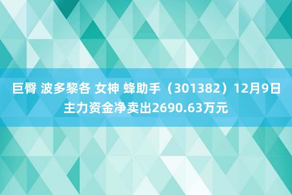 巨臀 波多黎各 女神 蜂助手(301382)12月9日主力资金净卖出2690.63万元