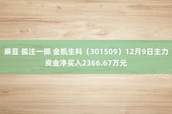 麻豆 孤注一掷 金凯生科（301509）12月9日主力资金净买入2366.67万元