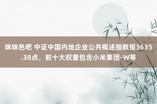 咪咪色吧 中证中国内地企业公共概述指数报3635.38点，前十大权重包含小米集团-W等