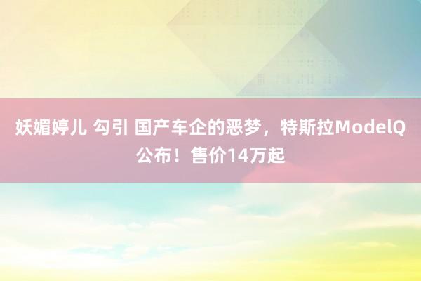 妖媚婷儿 勾引 国产车企的恶梦，特斯拉ModelQ公布！售价14万起
