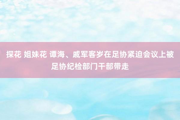 探花 姐妹花 谭海、戚军客岁在足协紧迫会议上被足协纪检部门干部带走