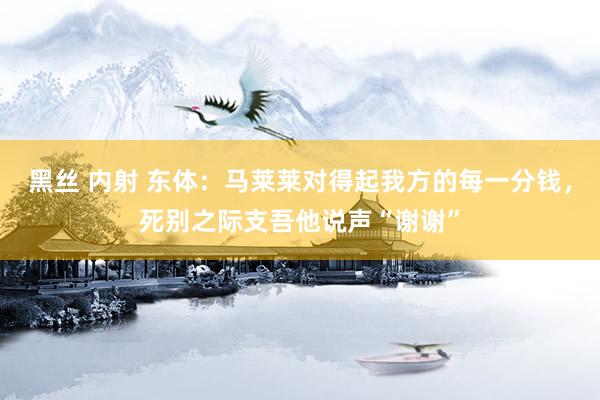 黑丝 内射 东体：马莱莱对得起我方的每一分钱，死别之际支吾他说声“谢谢”