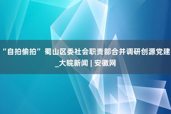 “自拍偷拍” 蜀山区委社会职责部合并调研创源党建_大皖新闻 | 安徽网