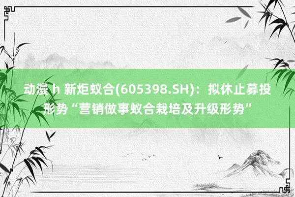 动漫 h 新炬蚁合(605398.SH)：拟休止募投形势“营销做事蚁合栽培及升级形势”
