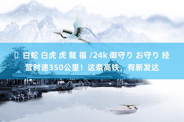 ✨白蛇 白虎 虎 龍 福 /24k 御守り お守り 经营时速350公里！这条高铁，有新发达