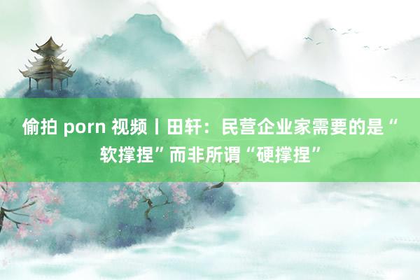 偷拍 porn 视频丨田轩：民营企业家需要的是“软撑捏”而非所谓“硬撑捏”
