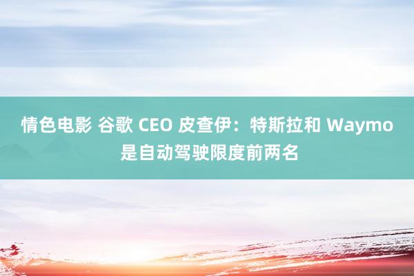 情色电影 谷歌 CEO 皮查伊：特斯拉和 Waymo 是自动驾驶限度前两名