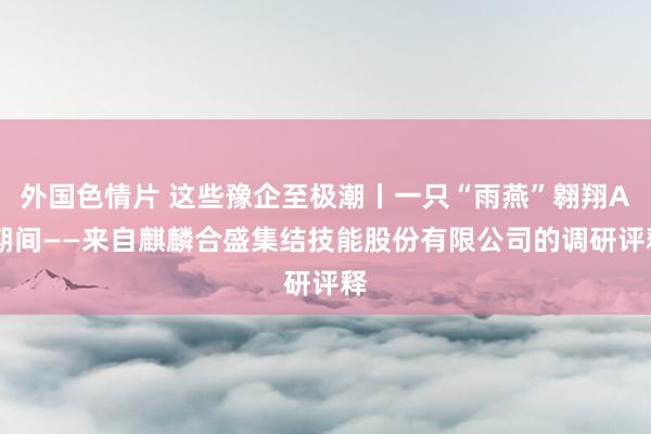 外国色情片 这些豫企至极潮丨一只“雨燕”翱翔AI期间——来自麒麟合盛集结技能股份有限公司的调研评释