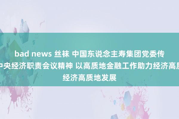 bad news 丝袜 中国东说念主寿集团党委传达学习中央经济职责会议精神 以高质地金融工作助力经济高质地发展