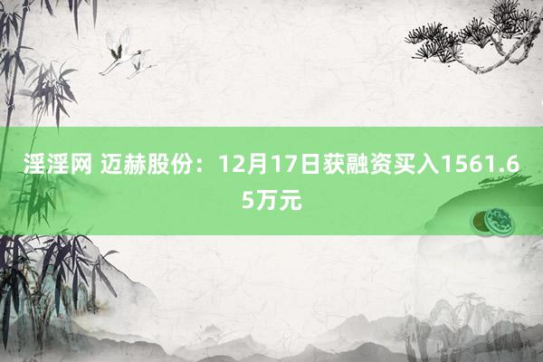 淫淫网 迈赫股份：12月17日获融资买入1561.65万元