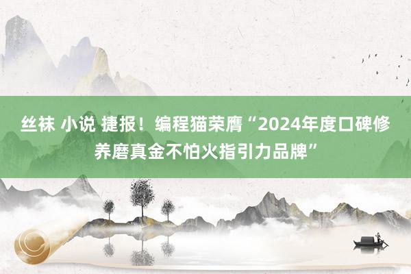 丝袜 小说 捷报！编程猫荣膺“2024年度口碑修养磨真金不怕火指引力品牌”