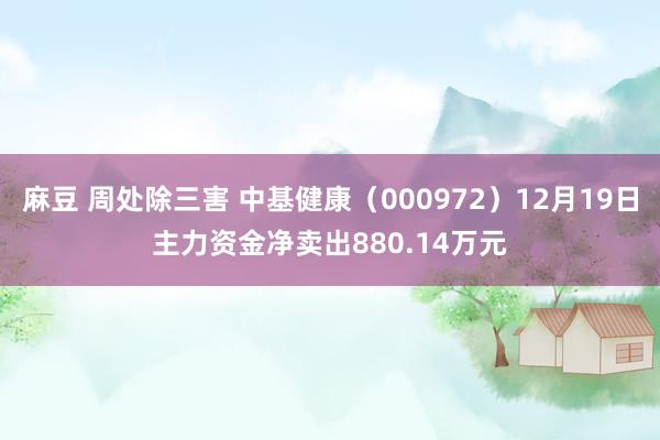 麻豆 周处除三害 中基健康（000972）12月19日主力资金净卖出880.14万元