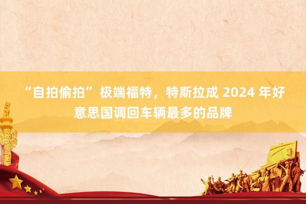 “自拍偷拍” 极端福特，特斯拉成 2024 年好意思国调回车辆最多的品牌