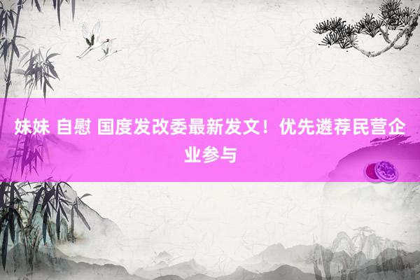 妹妹 自慰 国度发改委最新发文！优先遴荐民营企业参与