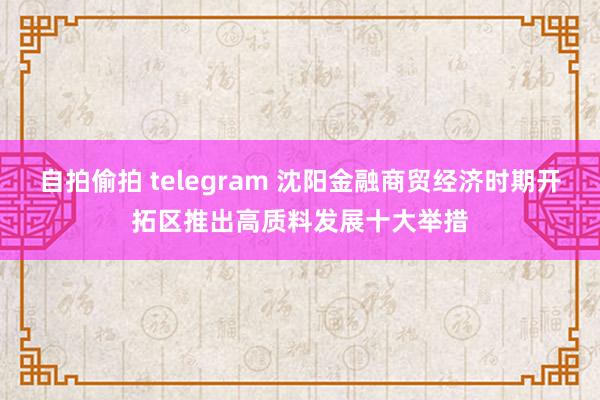 自拍偷拍 telegram 沈阳金融商贸经济时期开拓区推出高质料发展十大举措