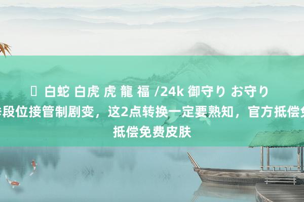 ✨白蛇 白虎 虎 龍 福 /24k 御守り お守り S38赛季段位接管制剧变，这2点转换一定要熟知，官方抵偿免费皮肤