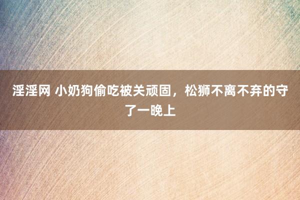 淫淫网 小奶狗偷吃被关顽固，松狮不离不弃的守了一晚上