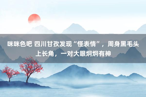 咪咪色吧 四川甘孜发现“怪表情”，周身黑毛头上长角，一对大眼炯炯有神