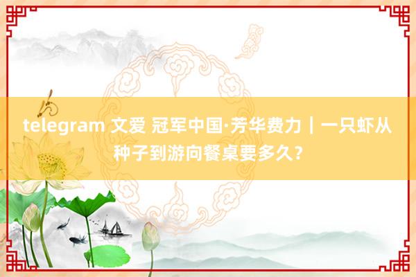 telegram 文爱 冠军中国·芳华费力｜一只虾从种子到游向餐桌要多久？