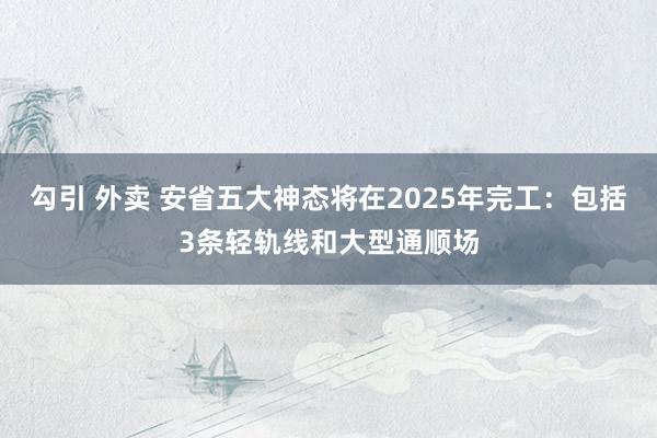 勾引 外卖 安省五大神态将在2025年完工：包括3条轻轨线和大型通顺场
