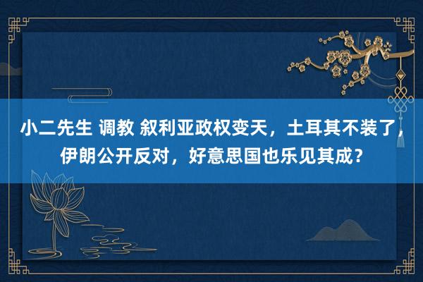 小二先生 调教 叙利亚政权变天，土耳其不装了，伊朗公开反对，好意思国也乐见其成？