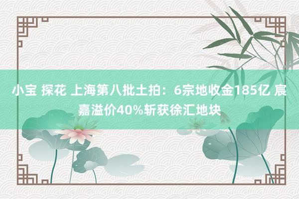 小宝 探花 上海第八批土拍：6宗地收金185亿 宸嘉溢价40%斩获徐汇地块