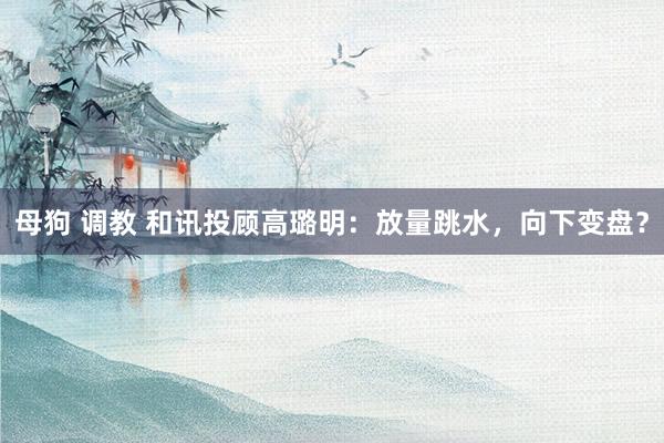 母狗 调教 和讯投顾高璐明：放量跳水，向下变盘？