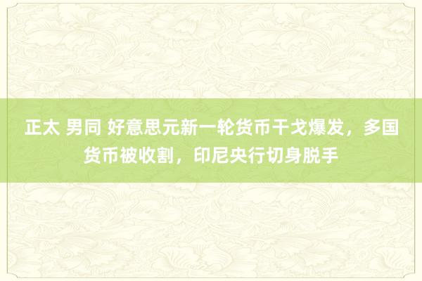正太 男同 好意思元新一轮货币干戈爆发，多国货币被收割，印尼央行切身脱手