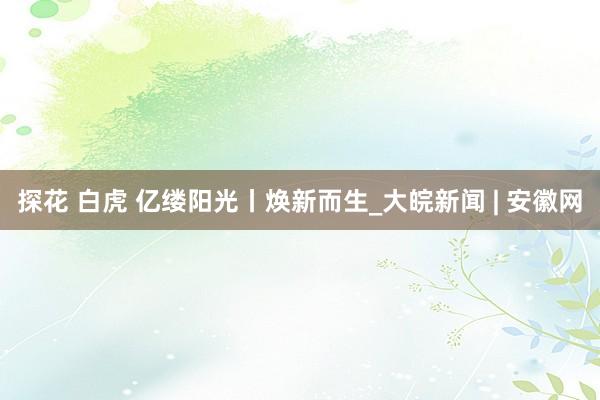 探花 白虎 亿缕阳光丨焕新而生_大皖新闻 | 安徽网