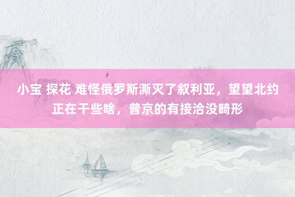 小宝 探花 难怪俄罗斯澌灭了叙利亚，望望北约正在干些啥，普京的有接洽没畸形