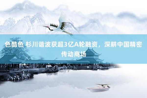 色酷色 杉川谐波获超3亿A轮融资，深耕中国精密传动商场