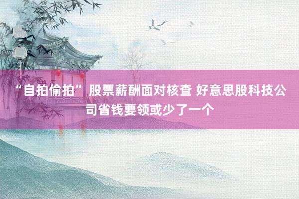 “自拍偷拍” 股票薪酬面对核查 好意思股科技公司省钱要领或少了一个