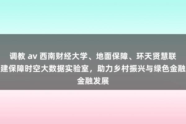 调教 av 西南财经大学、地面保障、环天贤慧联结共建保障时空大数据实验室，助力乡村振兴与绿色金融发展