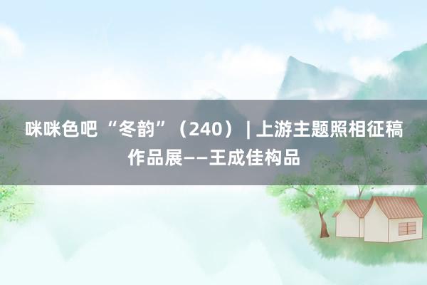 咪咪色吧 “冬韵”（240） | 上游主题照相征稿作品展——王成佳构品