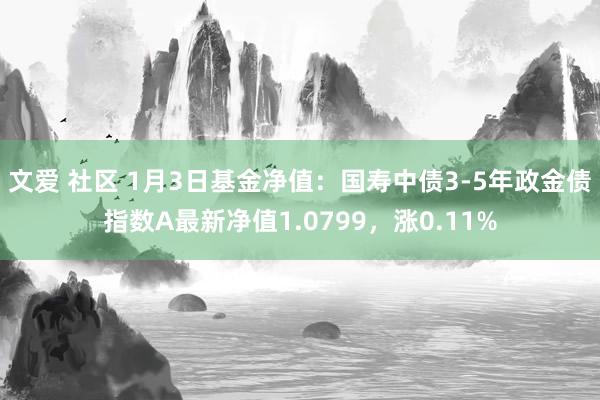 文爱 社区 1月3日基金净值：国寿中债3-5年政金债指数A最新净值1.0799，涨0.11%