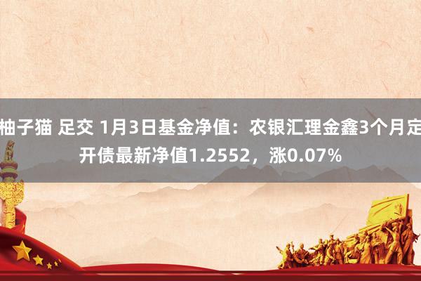 柚子猫 足交 1月3日基金净值：农银汇理金鑫3个月定开债最新净值1.2552，涨0.07%