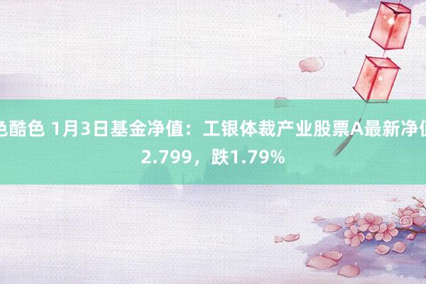 色酷色 1月3日基金净值：工银体裁产业股票A最新净值2.799，跌1.79%