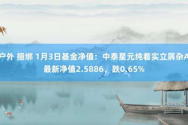 户外 捆绑 1月3日基金净值：中泰星元纯着实立羼杂A最新净值2.5886，跌0.65%