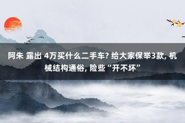 阿朱 露出 4万买什么二手车? 给大家保举3款， 机械结构通俗， 险些“开不坏”